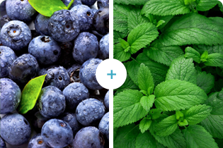 Technologie Buletedan