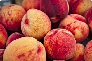 Technologie Buletedan