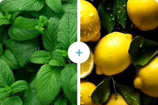 Technologie Buletedan